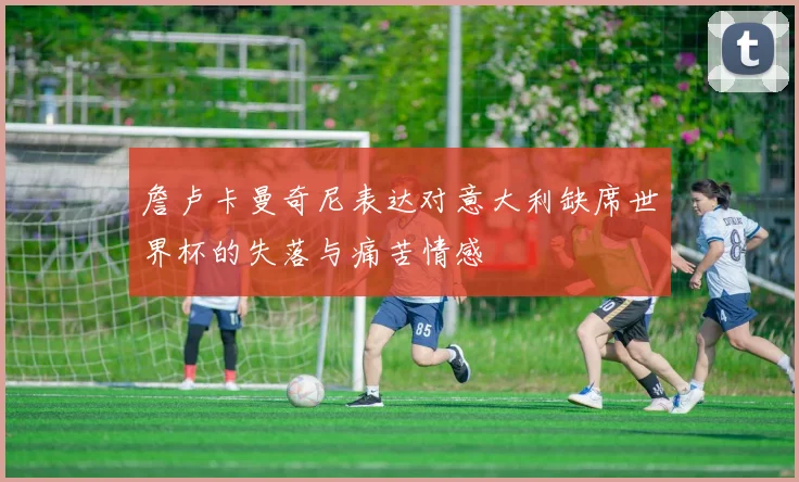 詹卢卡曼奇尼表达对意大利缺席世界杯的失落与痛苦情感